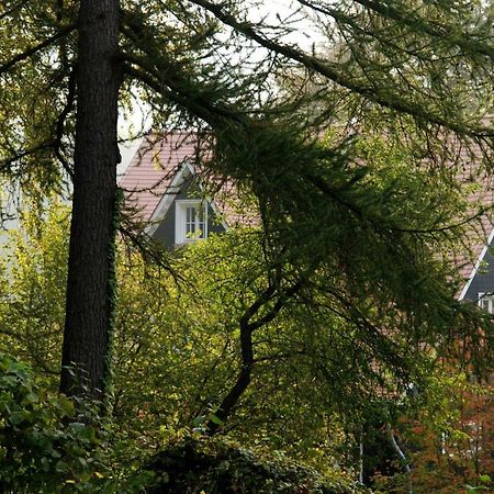 Panoramablick Appartement - Traumhaft! Ober-Hambach エクステリア 写真