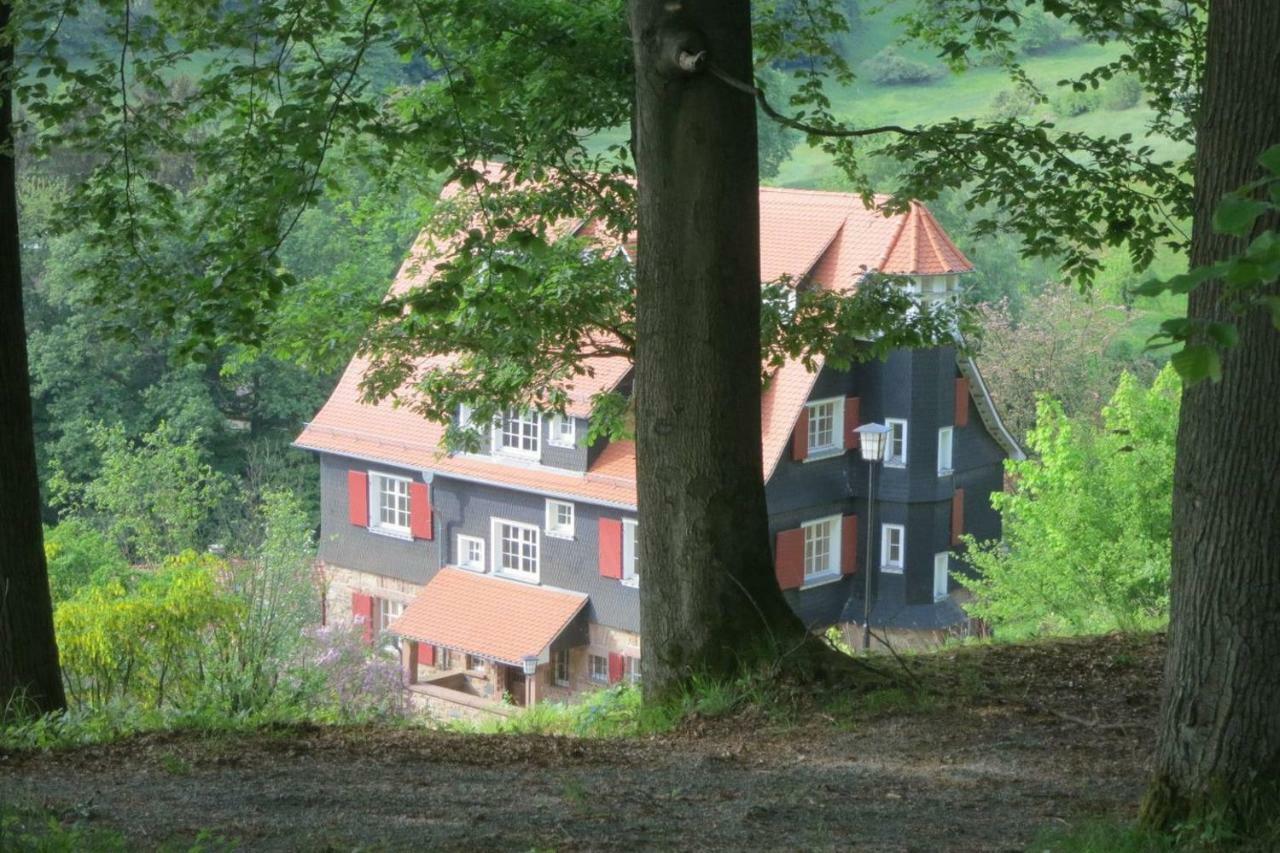 Panoramablick Appartement - Traumhaft! Ober-Hambach エクステリア 写真